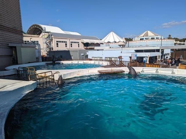 マリンブルー2 - サブ画像2