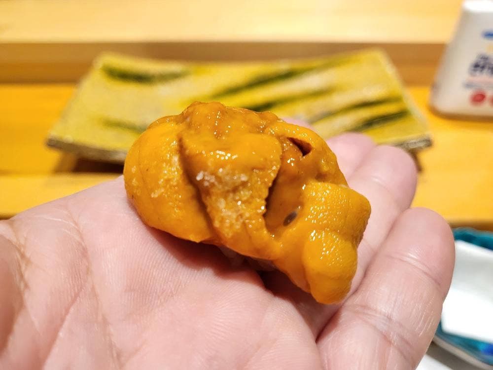 鮨 ワイン 小料理 一誠