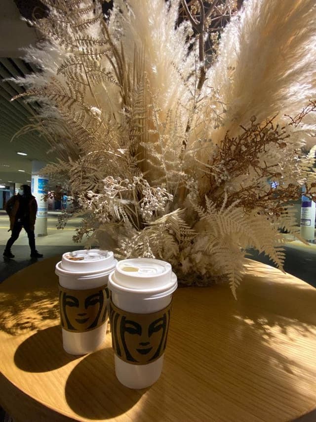 スターバックス コーヒー 大同生命札幌ビル ミレド地下1階店 - サブ画像1