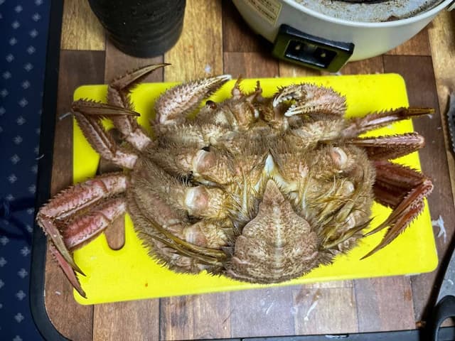 田島魚問屋 - サブ画像1