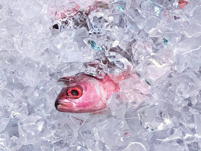 ぱやお 栄町店 - サブ画像1