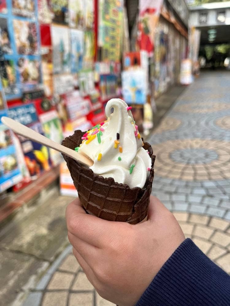 秋芳洞入口前売店