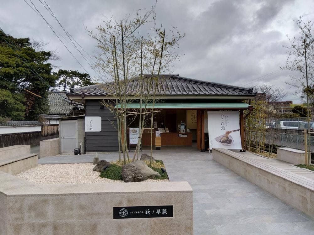 萩ノ早蕨