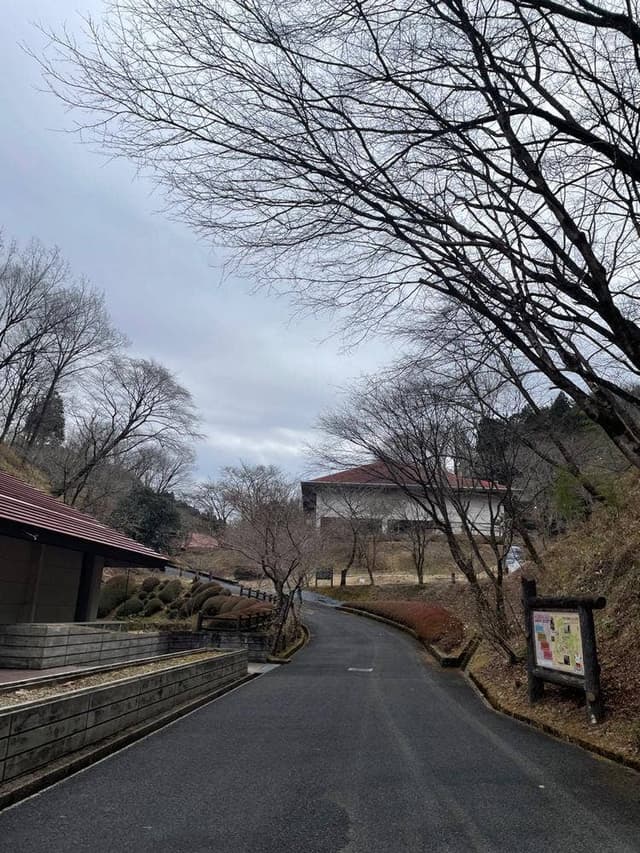 和紙とお食事の店 紙の花 - サブ画像3