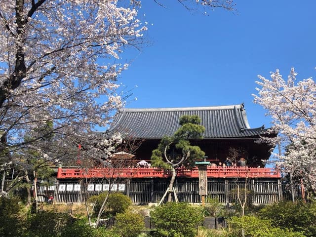 上野静養軒 - サブ画像3
