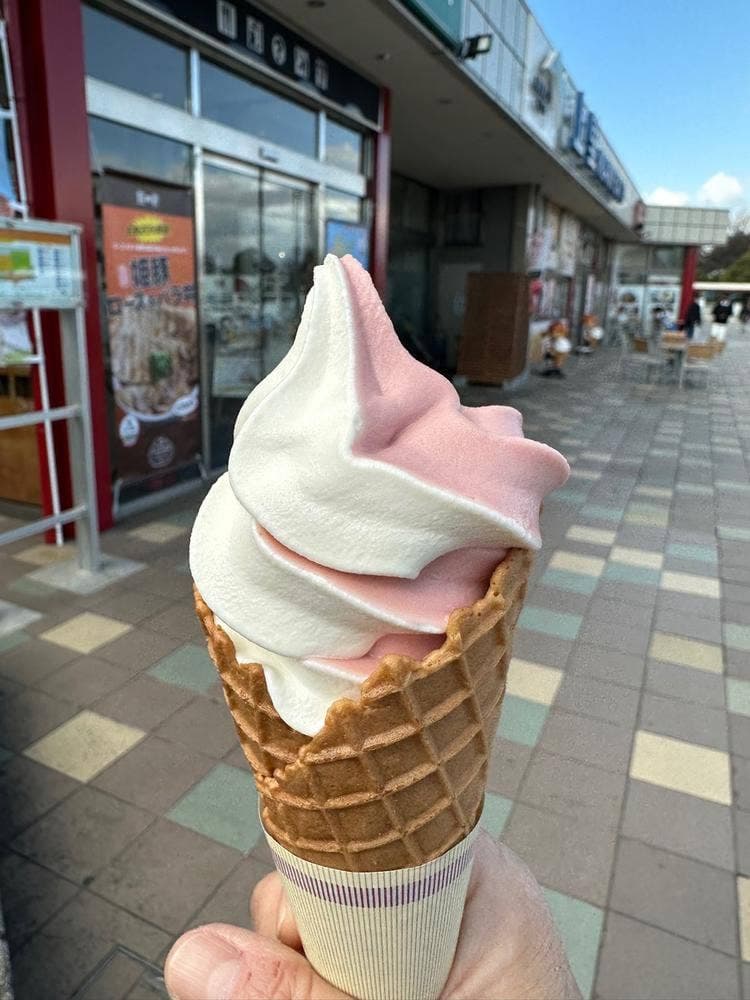 上里SA下り スナックコーナー