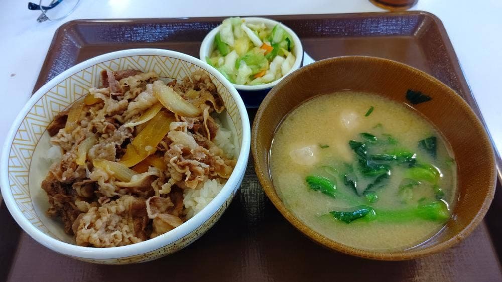 すき家 163号門真殿島店