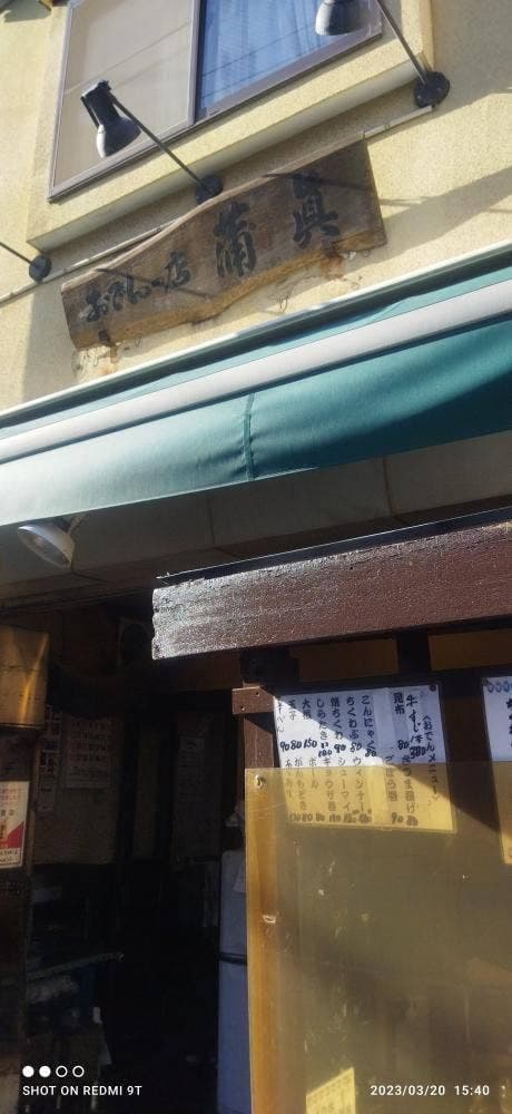 蒲眞