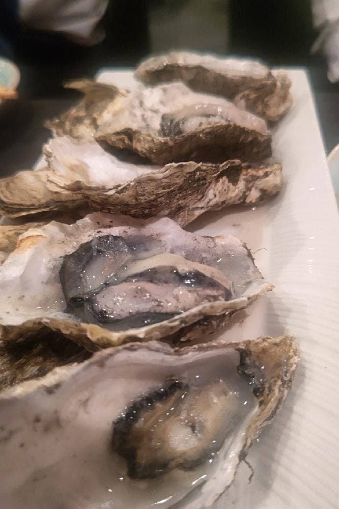 ハムカツとトンテキの大衆居酒屋 ハムカツ神社 札駅店