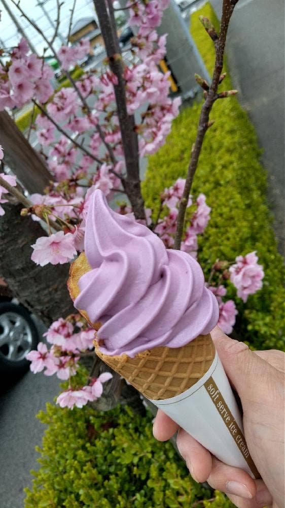 芋屋金次郎 高松店 - サブ画像1