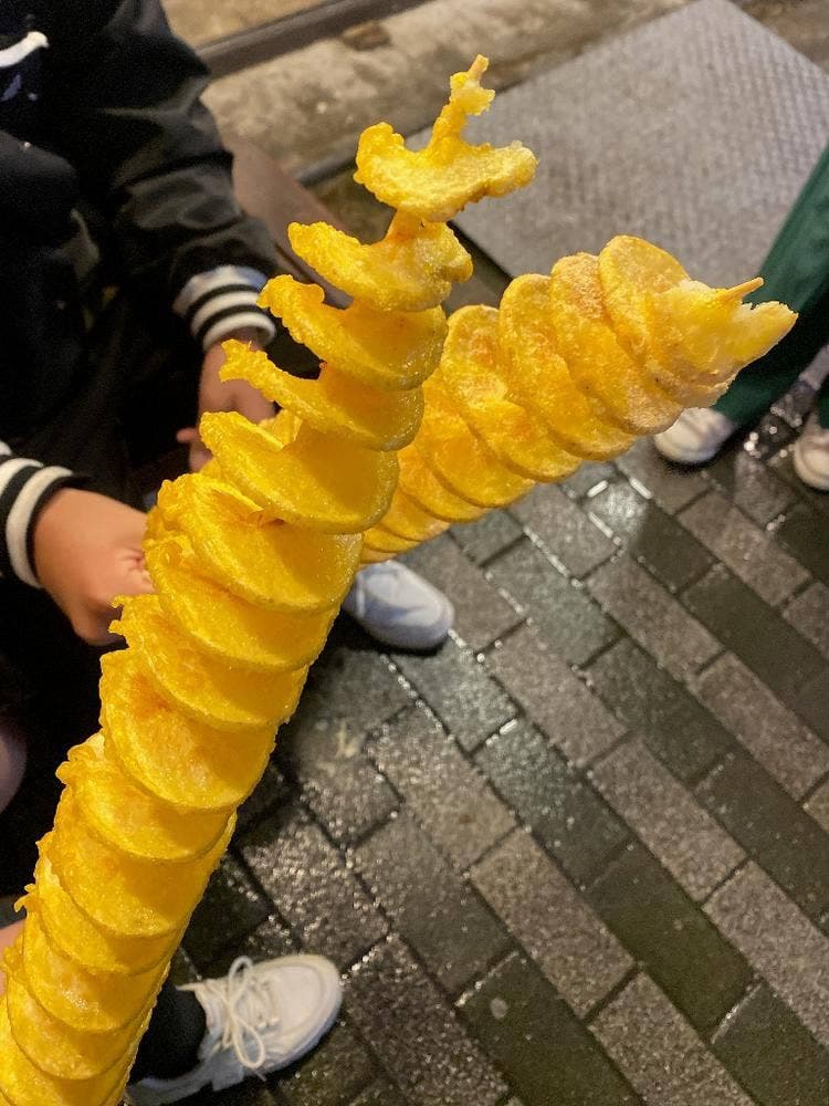 京都たこぱん