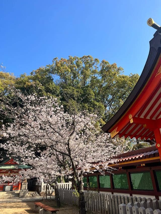 パーラーネムの樹 - サブ画像3