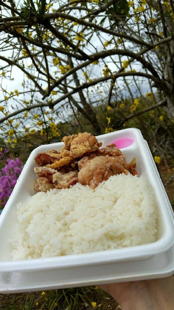 元祖からあげ本舗マルコウ 岡山平島店