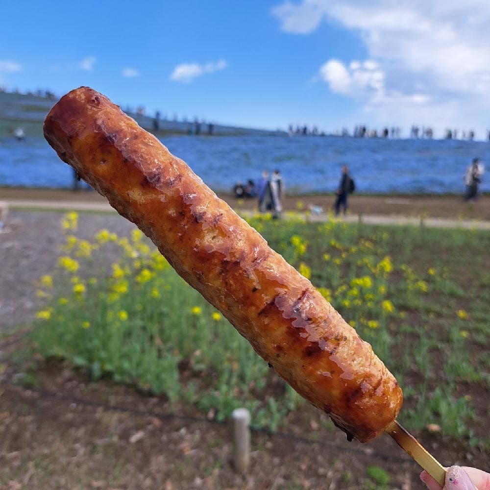 みはらし広場 国営ひたち海浜公園