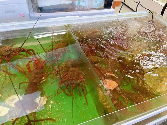 タイヨウ水産 - サブ画像2