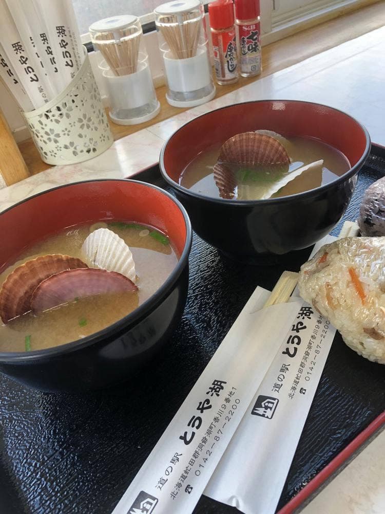 道の駅とうや湖