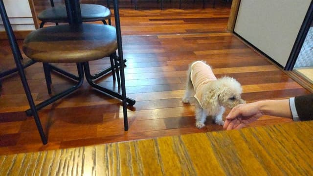 カフェ 紫苑 - サブ画像3