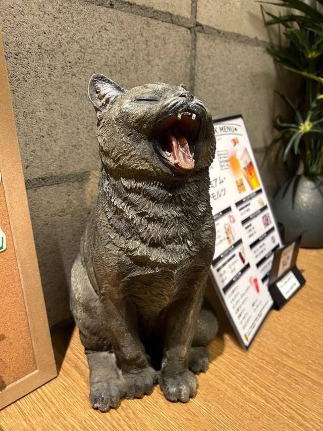 九州酒肴 筑前猫屋 八丁堀 - サブ画像2