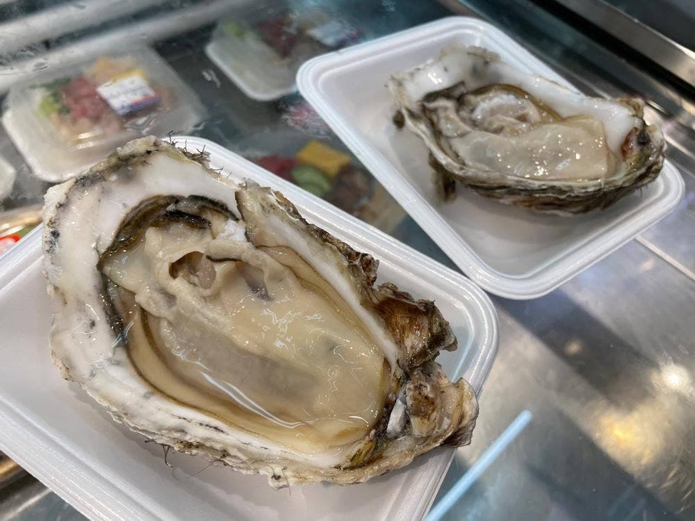 マグロのお店 マルハチ