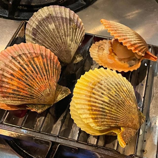 おばんざい魚 酒 晴家 - サブ画像1