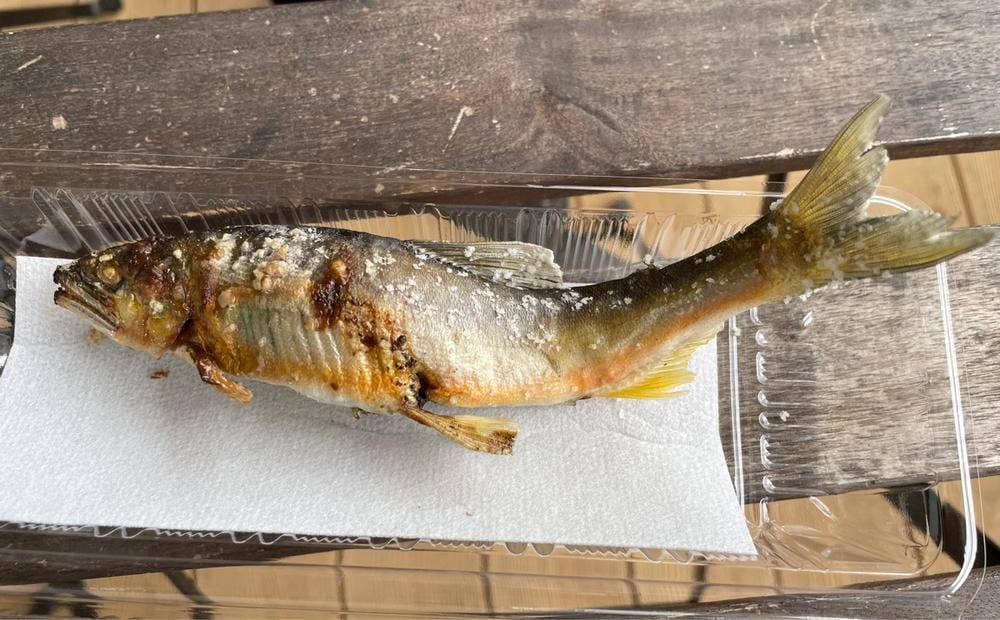 西土佐食堂 道の駅よって西土佐