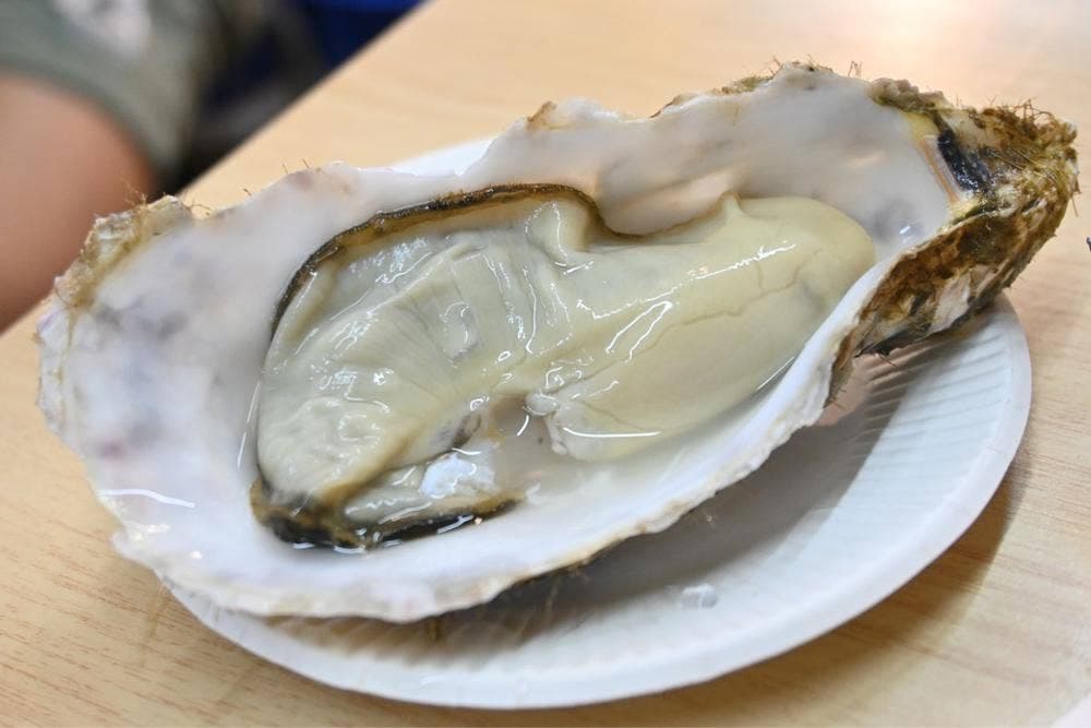 藤田商店