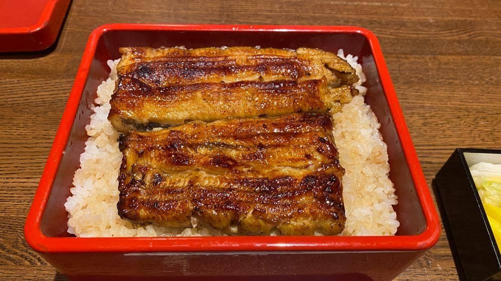 新宿 うなぎ菊川