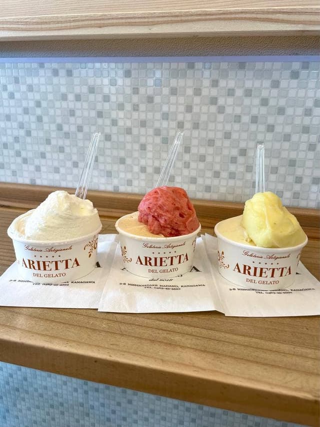 ARIETTA DEL GELATO - サブ画像3