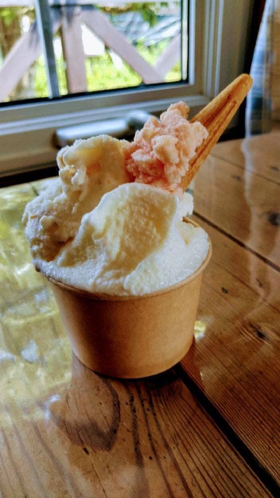 ミルク工房ジェラテリアMISAO [みさお牧場]