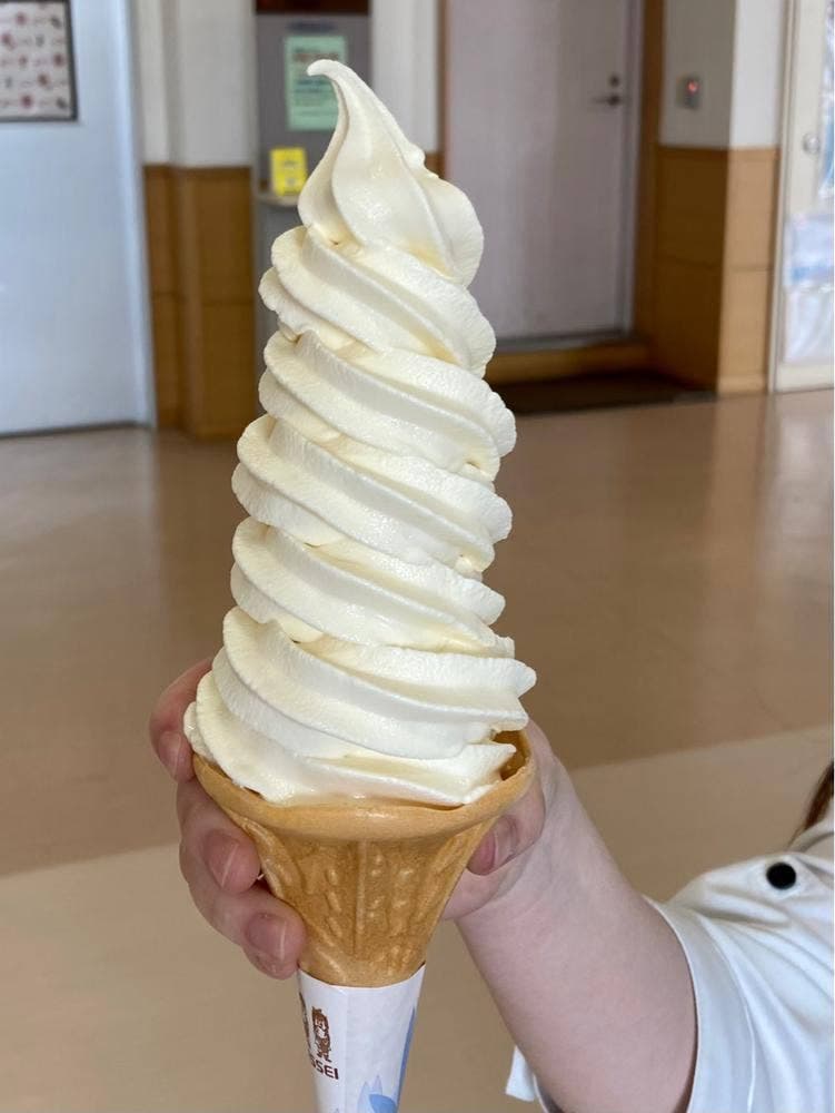 道の駅 コスモール大樹