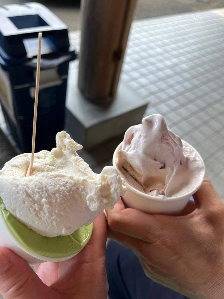 佐那河内ジェラート