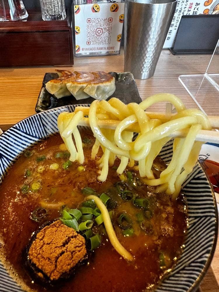 焼きあごらーめん小池