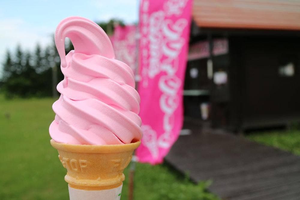 芝ざくらソフトクリーム 売店