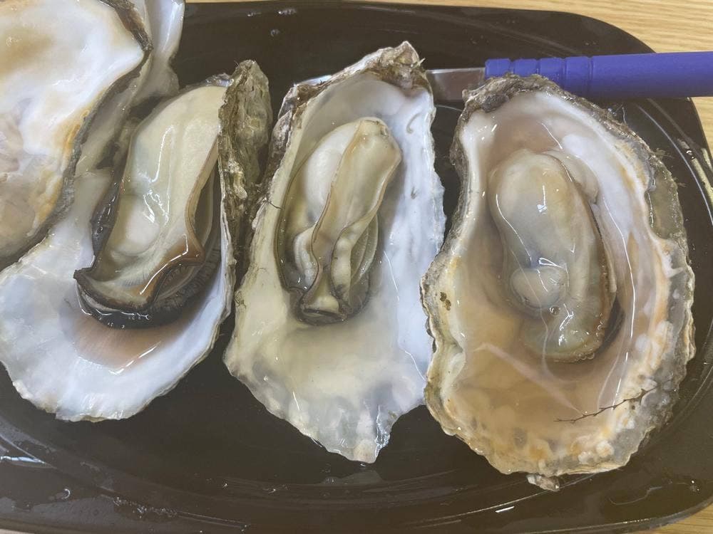 厚岸漁業協同組合直売店