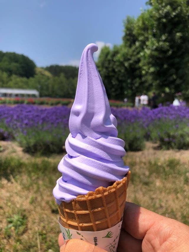 ファーム富田 - サブ画像3