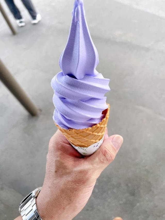 ファーム富田 - サブ画像2