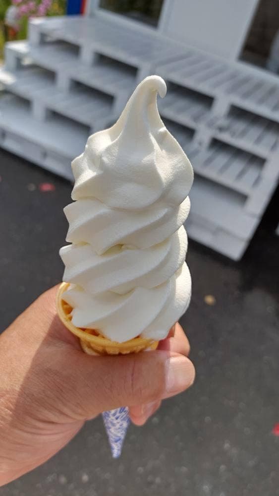 NO SOFT NO LIFE - サブ画像3