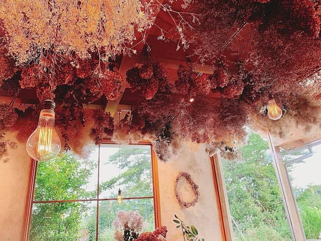 HanaCafe Kikyou 富士大石ハナテラス - サブ画像1