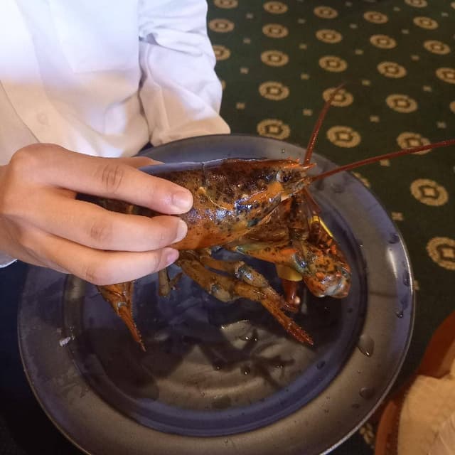 ヴェルサーレ - サブ画像3