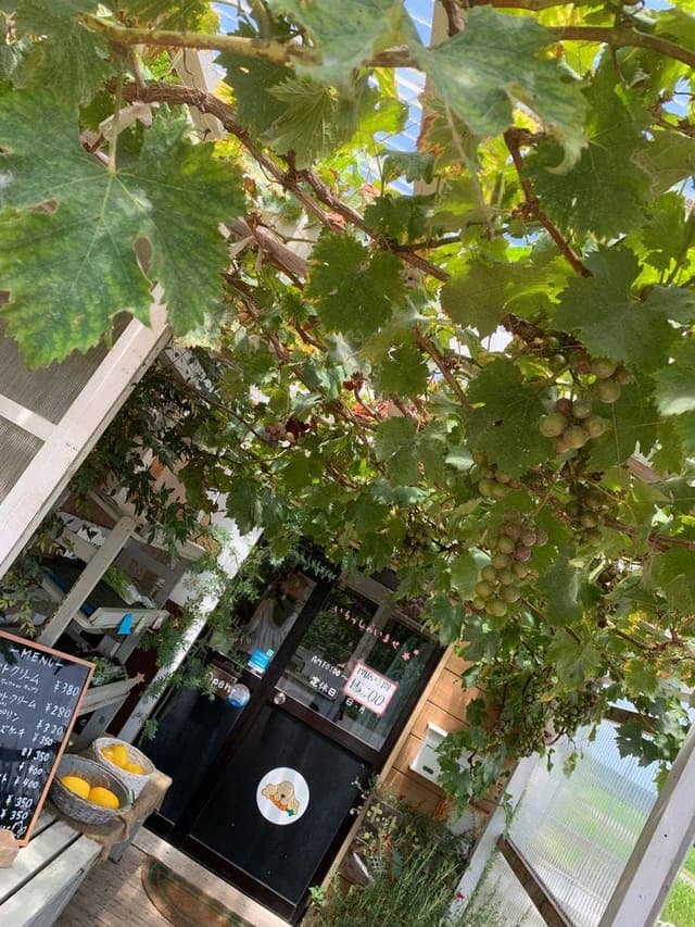 ポコ ア ポコ - サブ画像3