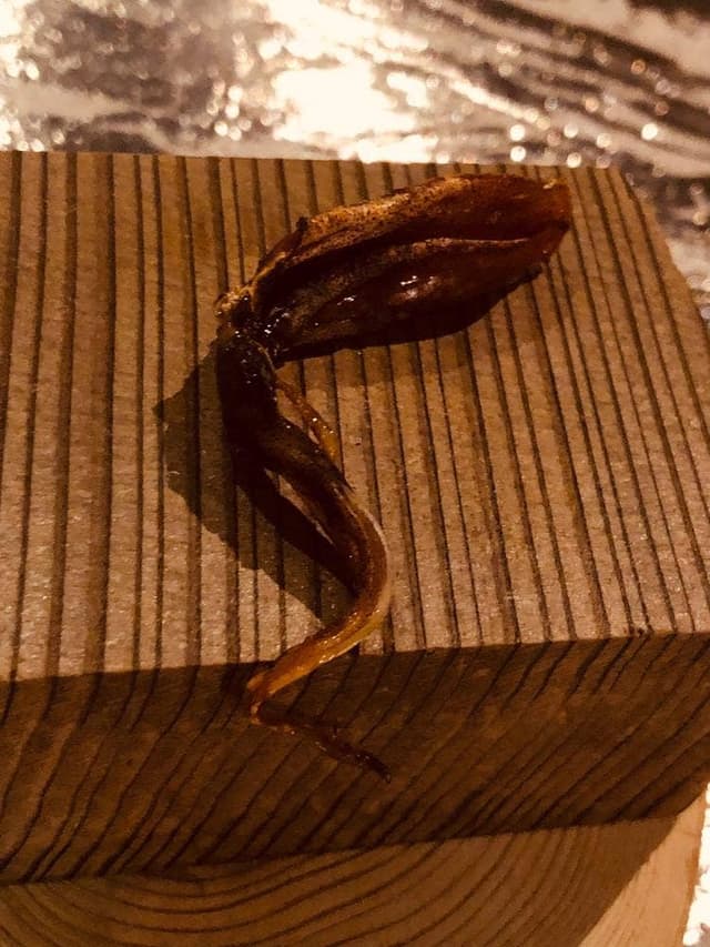 Restaurant Yoshi's High - サブ画像2