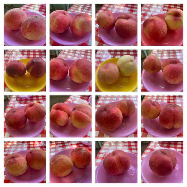 御坂農園グレープハウス - サブ画像1