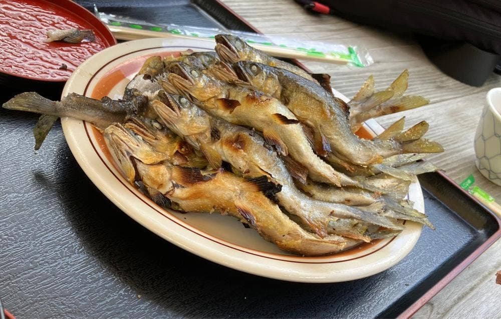 寒狭川広見ヤナ場