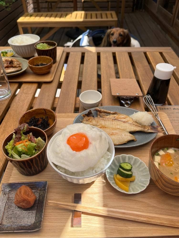 ヨリドコロ2号店
