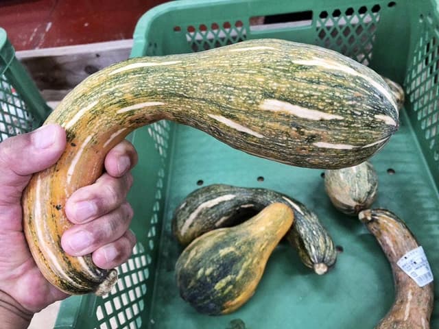 おっぱ乳業 道の駅糸満店 - サブ画像1