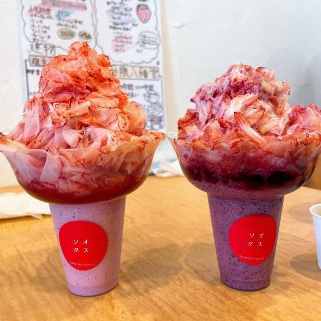 ソオタス シバタベリーファーム - サブ画像2