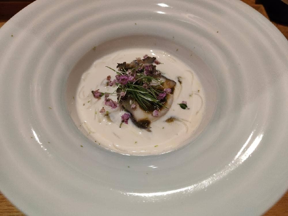 丸太町 やんがす