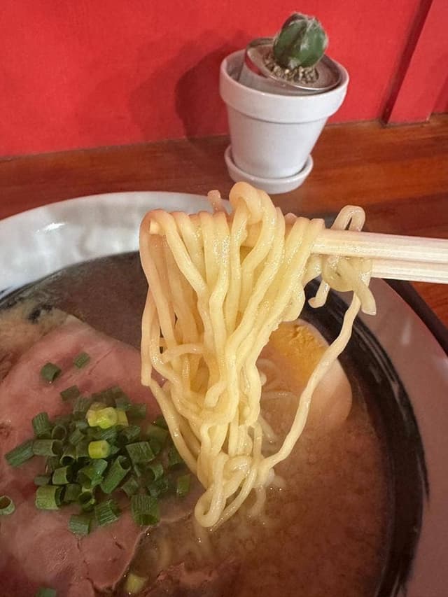 MAGMA NOODLE - サブ画像2