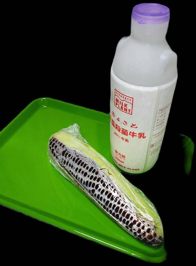 清里ミルクプラント - サブ画像1