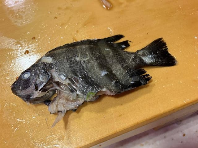 さと海 鹿島店 - サブ画像3